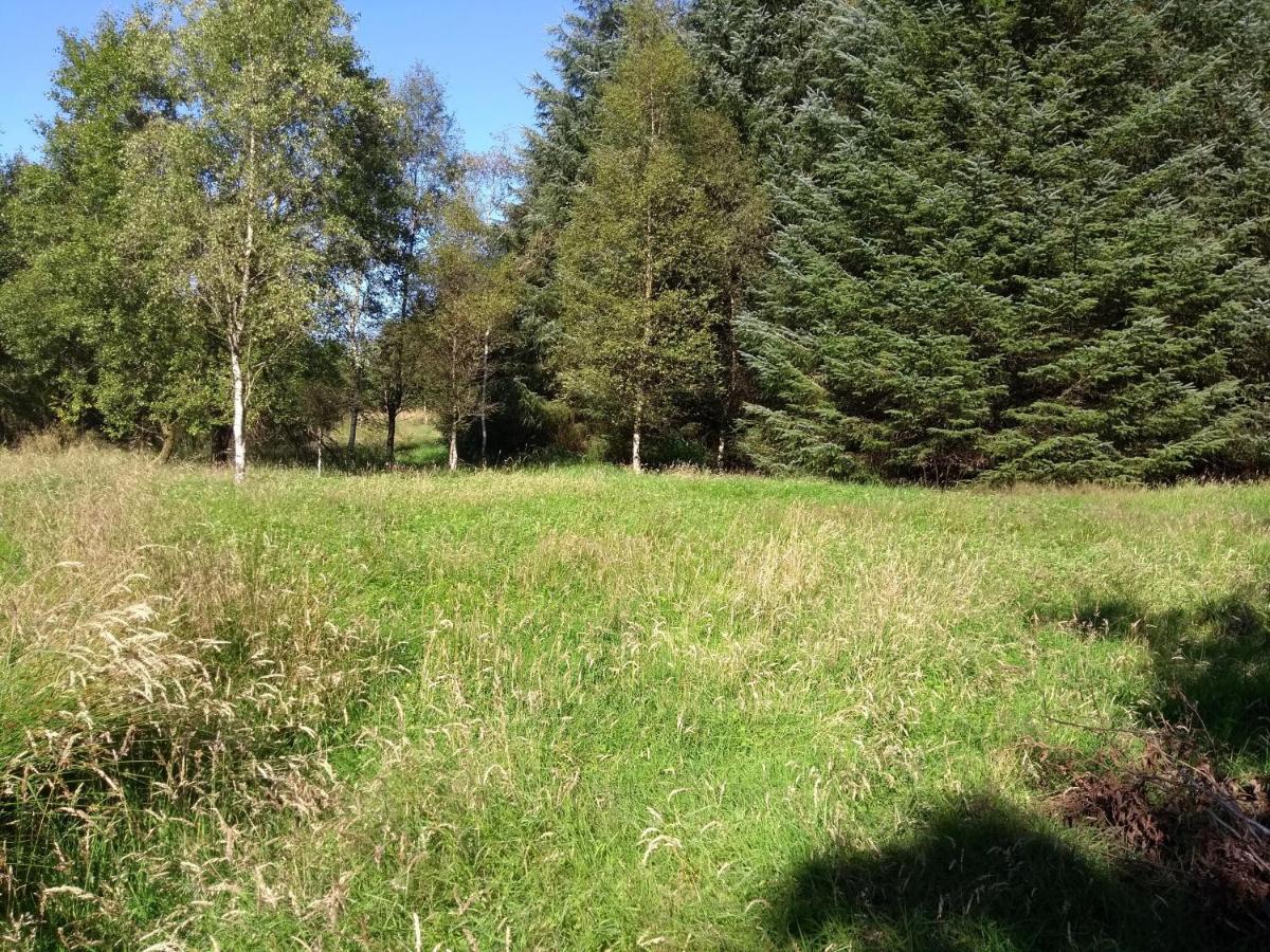 Cleeves Cabins Ailsa Luxury Lodge With Hot Tub Dalry  エクステリア 写真