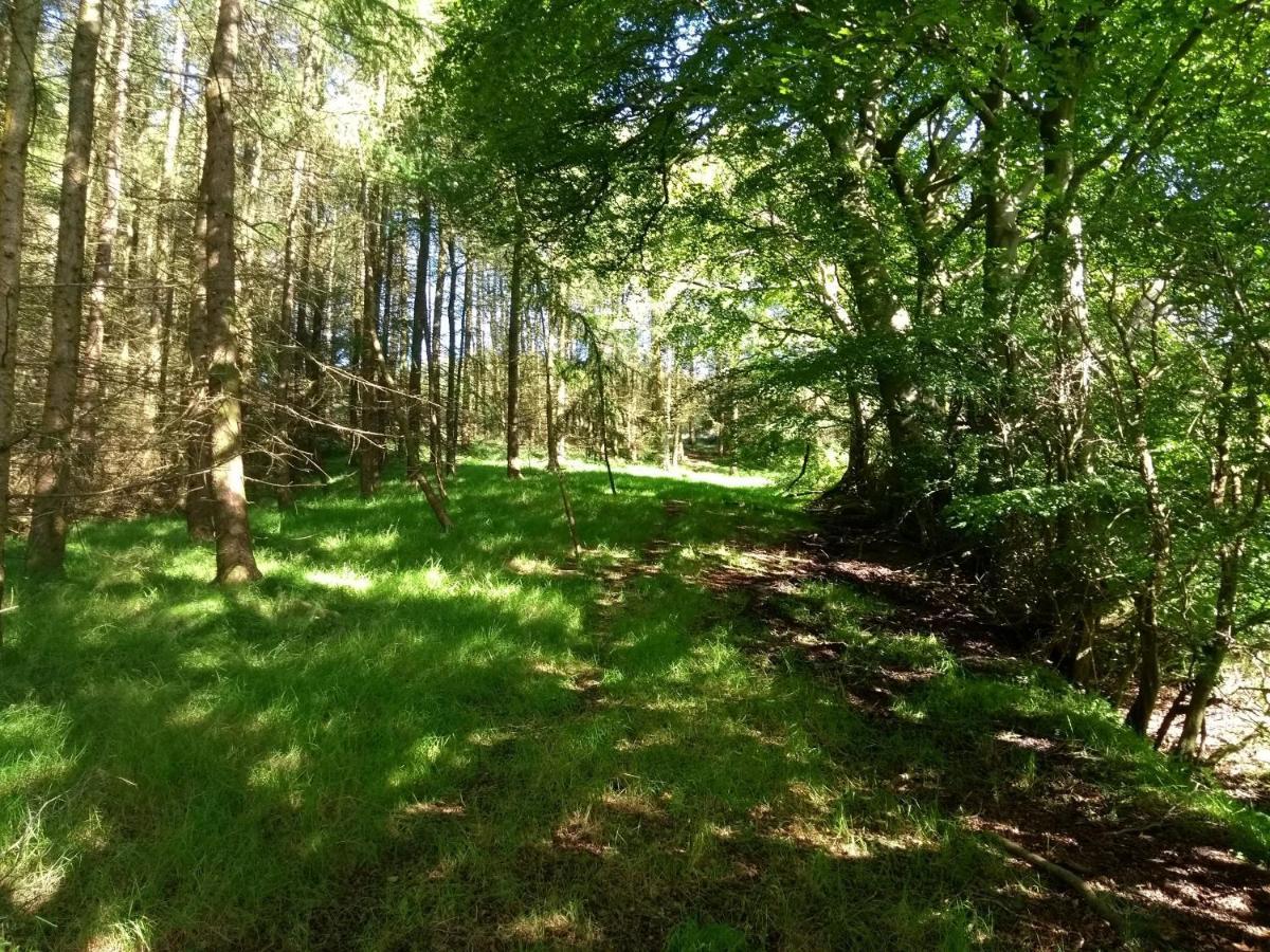Cleeves Cabins Ailsa Luxury Lodge With Hot Tub Dalry  エクステリア 写真
