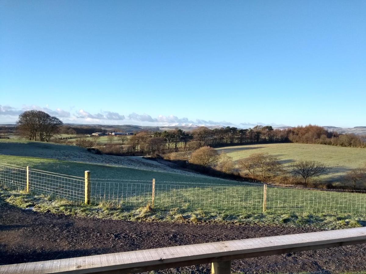Cleeves Cabins Ailsa Luxury Lodge With Hot Tub Dalry  エクステリア 写真