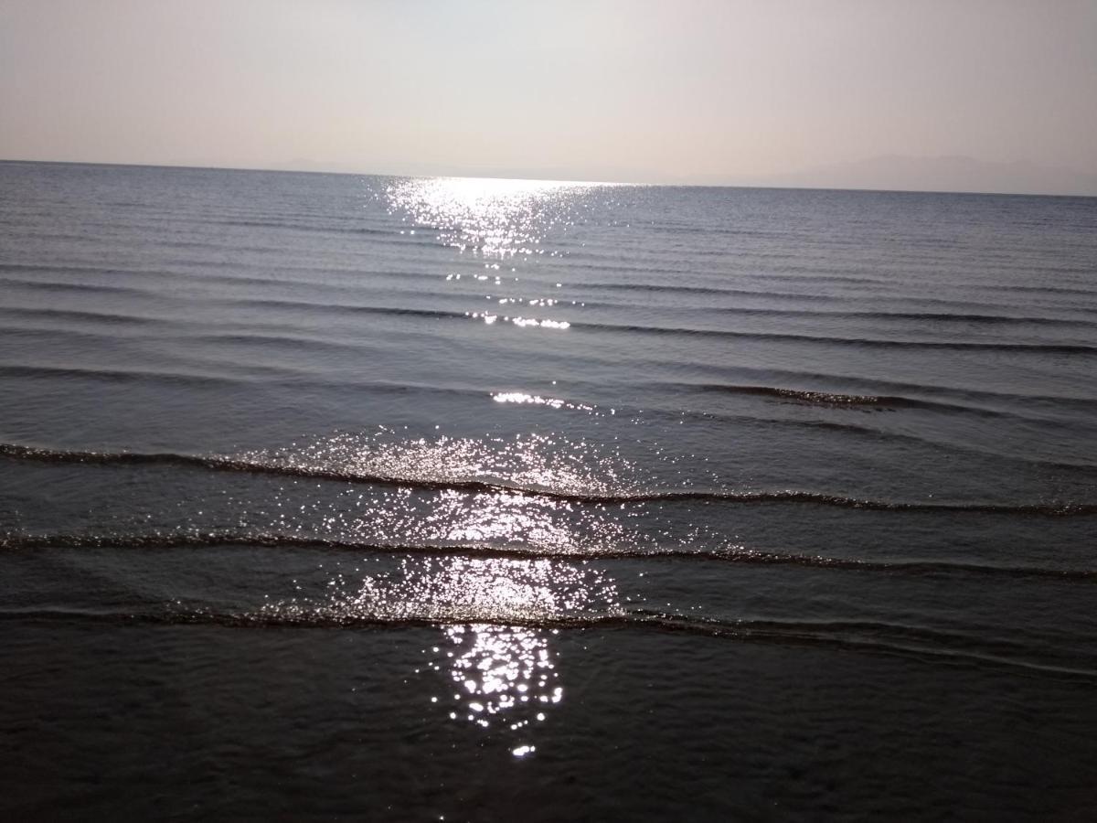 Cleeves Cabins Ailsa Luxury Lodge With Hot Tub Dalry  エクステリア 写真