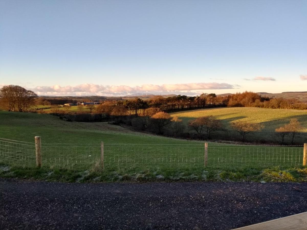 Cleeves Cabins Ailsa Luxury Lodge With Hot Tub Dalry  エクステリア 写真